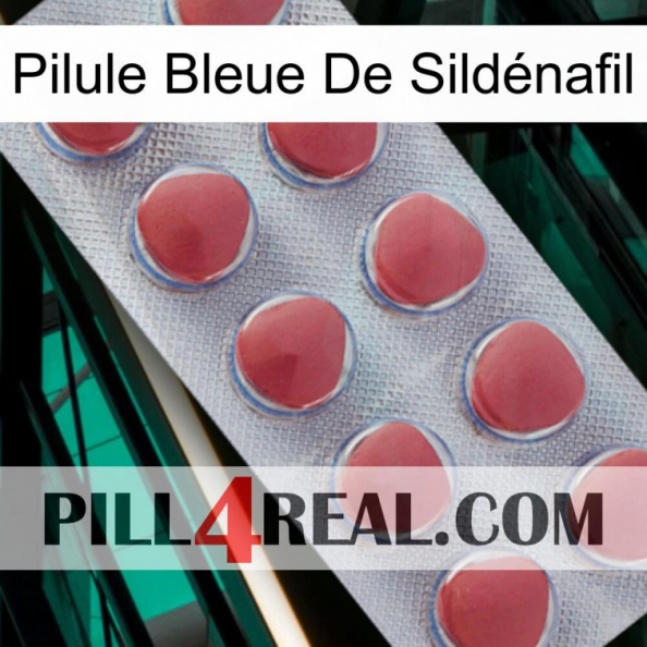 Pilule Bleue De Sildénafil 18.jpg